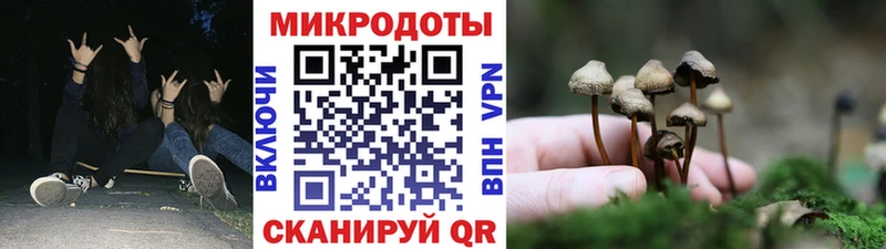 OMG онион  Минусинск  Галлюциногенные грибы Cubensis 
